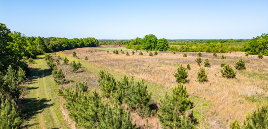 Taylor County Mini Farms