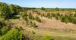 Taylor County Mini Farms