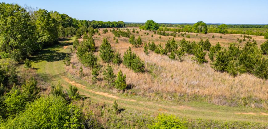 Taylor County Mini Farms