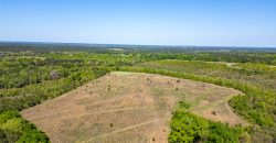 Taylor County Mini Farms