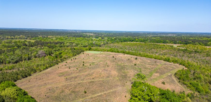 Taylor County Mini Farms