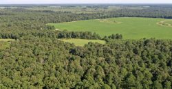 Macon County Mini Farm