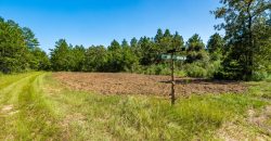 Whitewater Creek Aviation Farm