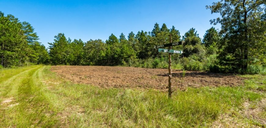 Whitewater Creek Aviation Farm