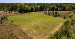 Taylor County Mini Farms