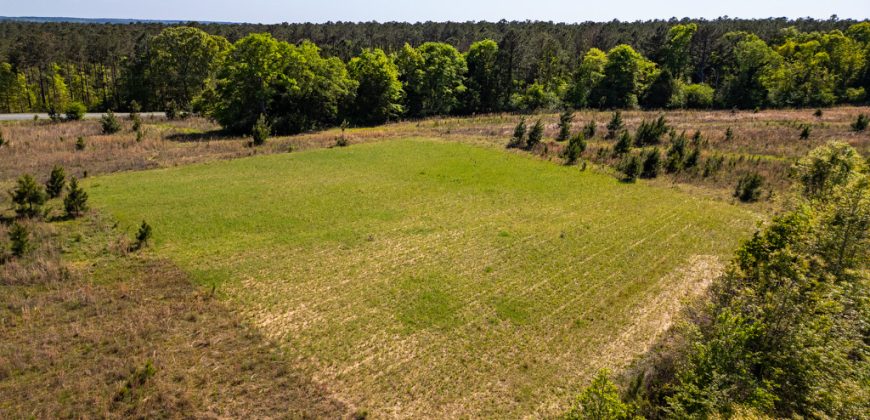 Taylor County Mini Farms