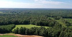 Macon County Mini Farm