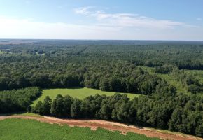 Macon County Mini Farm