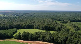 Macon County Mini Farm