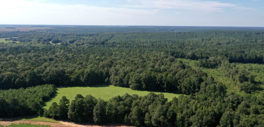 Macon County Mini Farm