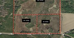 Taylor County Mini Farms