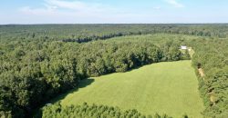 Macon County Mini Farm