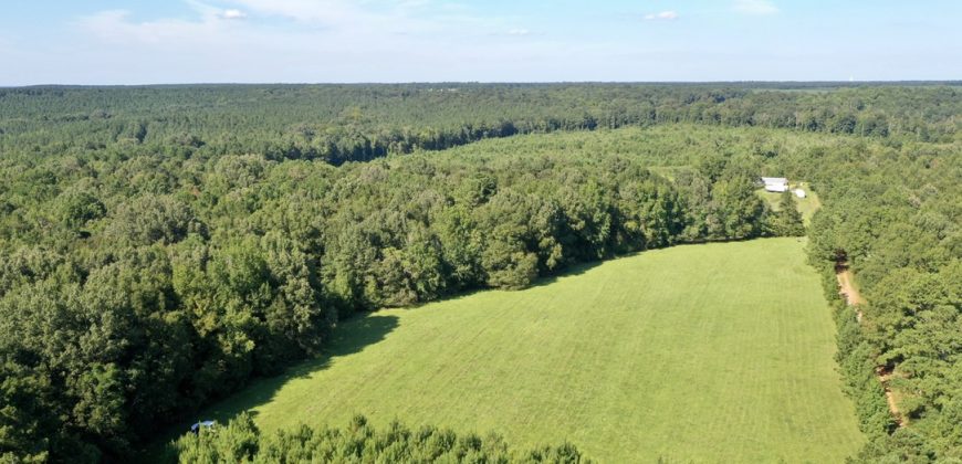 Macon County Mini Farm