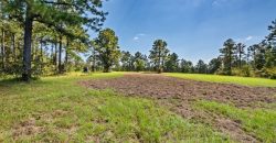 Whitewater Creek Aviation Farm