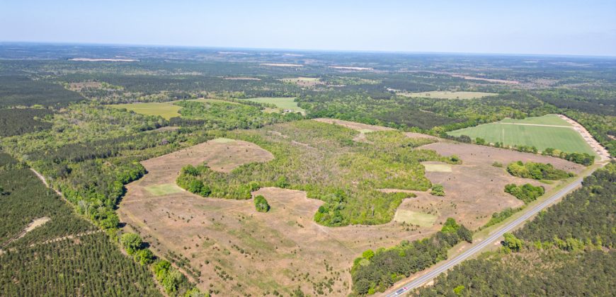 Taylor County Mini Farms