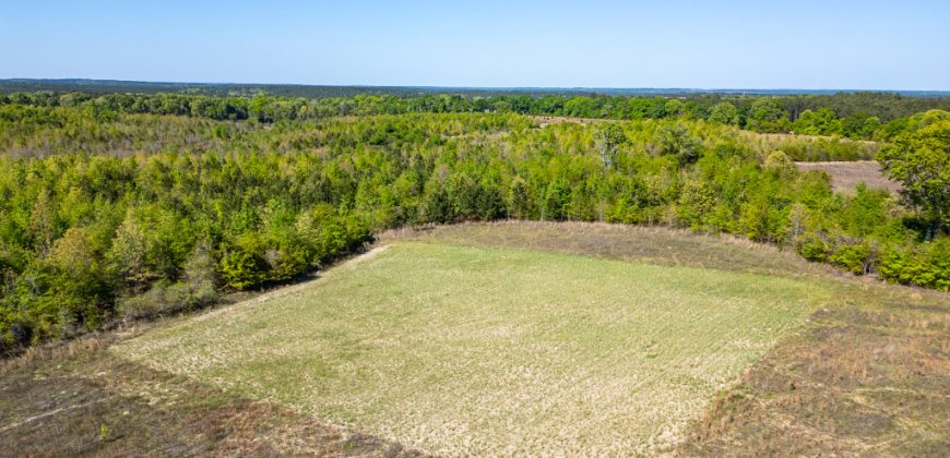 Taylor County Mini Farms