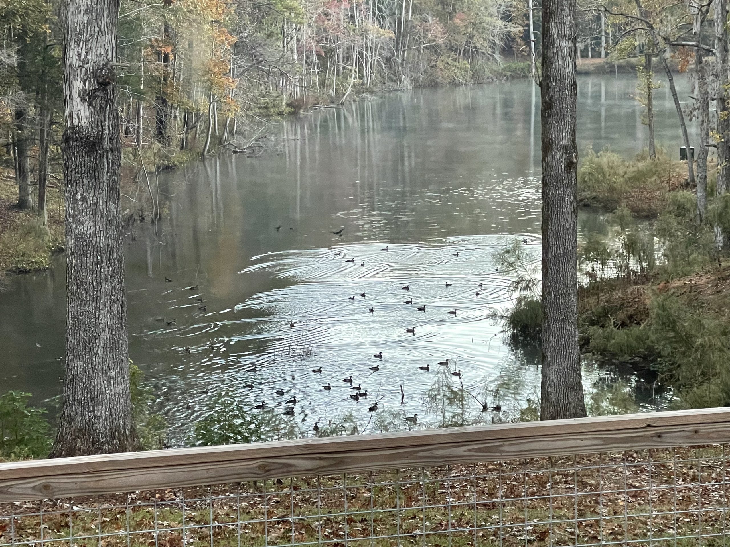 Sweetwater Creek Plantation