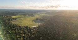 Meadow Creek Plantation