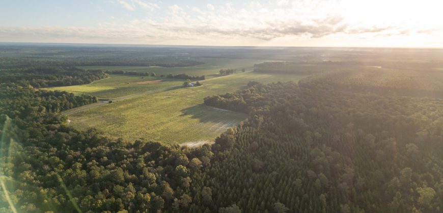 Meadow Creek Plantation