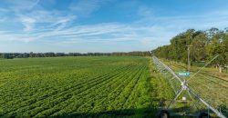 Limestone Creek Farm