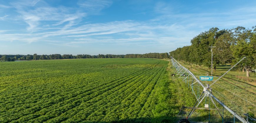 Limestone Creek Farm