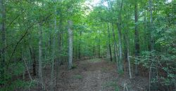 Limestone Creek Farm