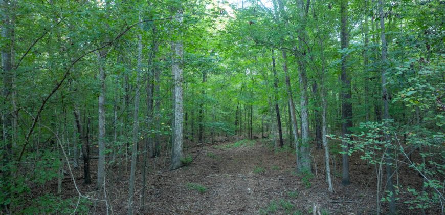 Limestone Creek Farm