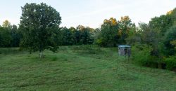 Limestone Creek Farm