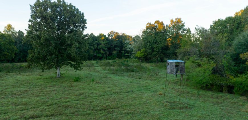 Limestone Creek Farm