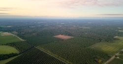 Meadow Creek Plantation