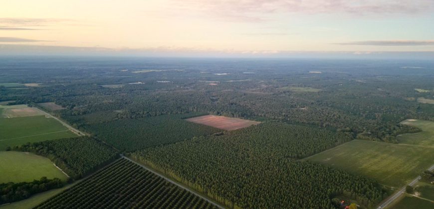 Meadow Creek Plantation