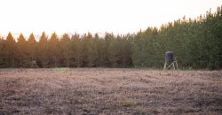 Meadow Creek Plantation