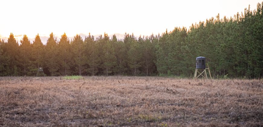 Meadow Creek Plantation