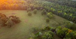 Limestone Creek Farm