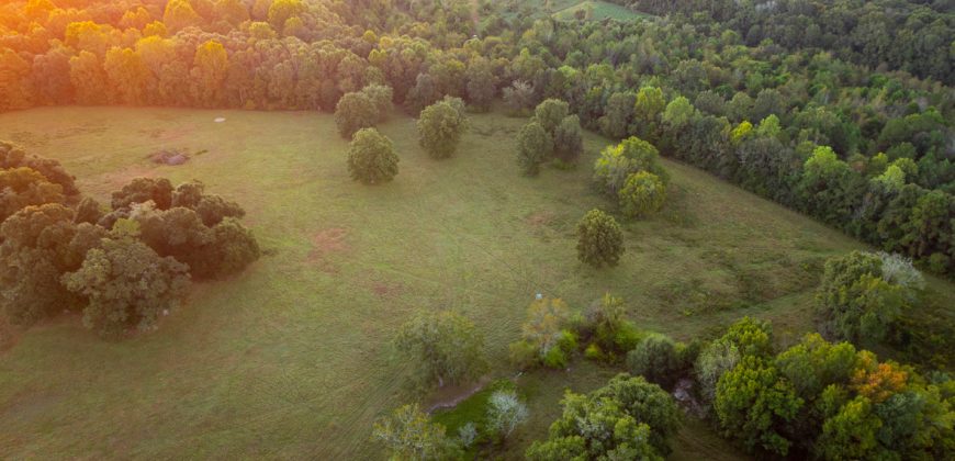 Limestone Creek Farm