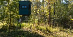 Rut Property