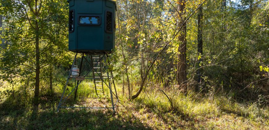 Rut Property