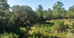 Rut Property