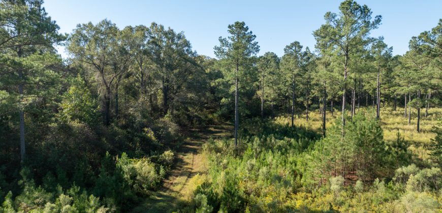 Rut Property
