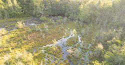Meadow Creek Plantation