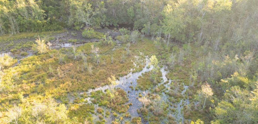 Meadow Creek Plantation