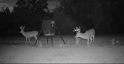 Meadow Creek Plantation
