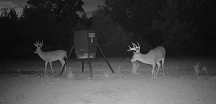 Meadow Creek Plantation