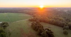 Limestone Creek Farm