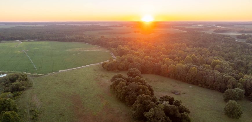 Limestone Creek Farm