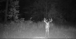 Meadow Creek Plantation