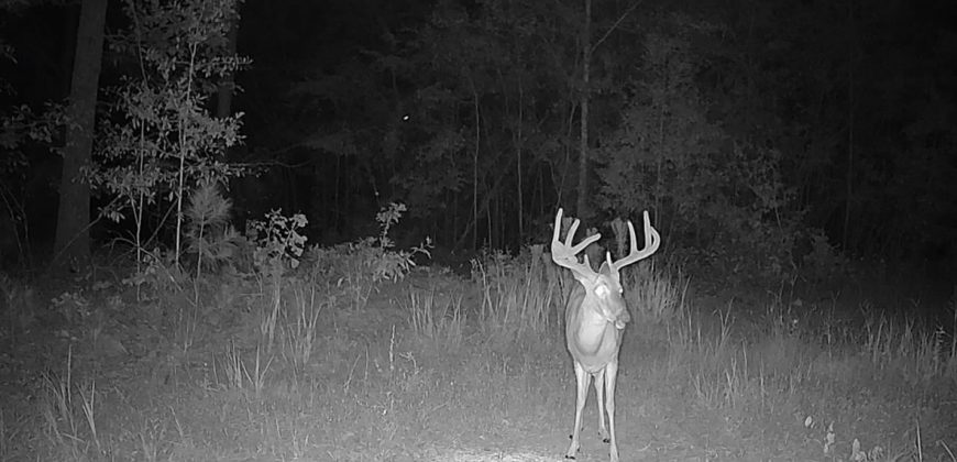 Meadow Creek Plantation