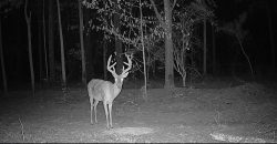 Meadow Creek Plantation