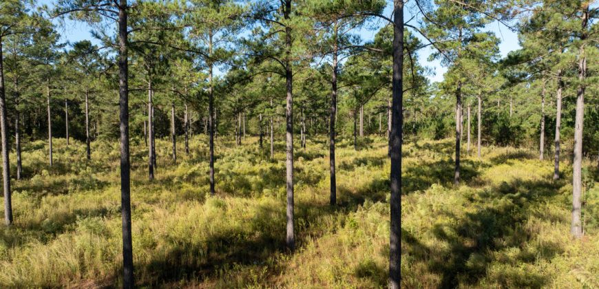 Rut Property