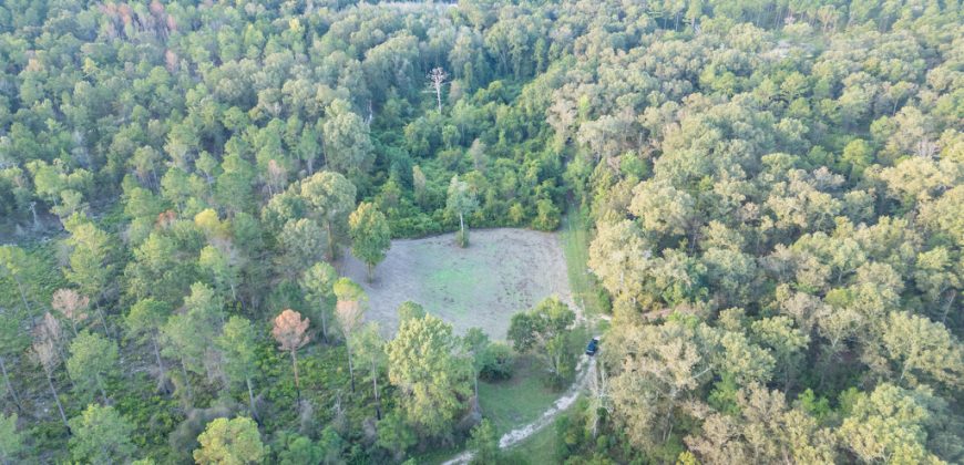 Meadow Creek Plantation